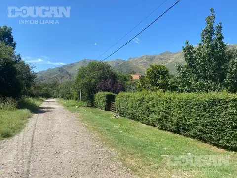 El Zorzal