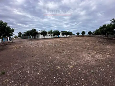 Acceso a La Adela 100