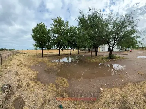 Acceso a La Adela 100