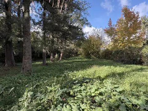 Terreno en Venta en Bella Vista, USD 270.000
