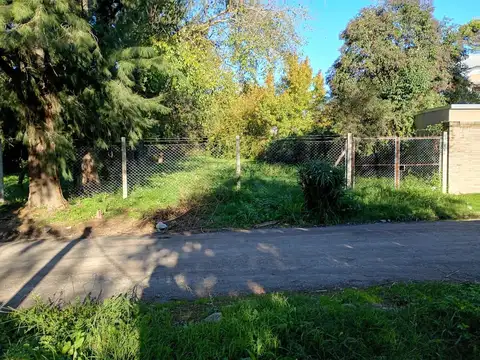 Obligado  al 3600