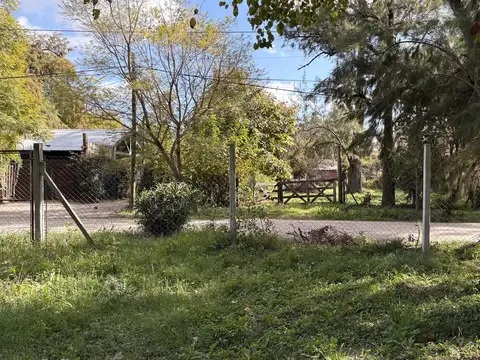 Obligado  al 3600