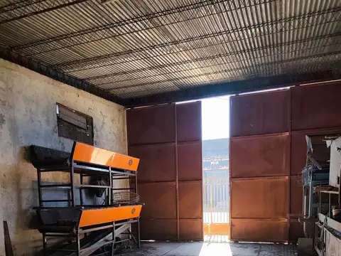Galpón en alquiler de 350m2