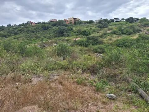 lote 94 poligono 452