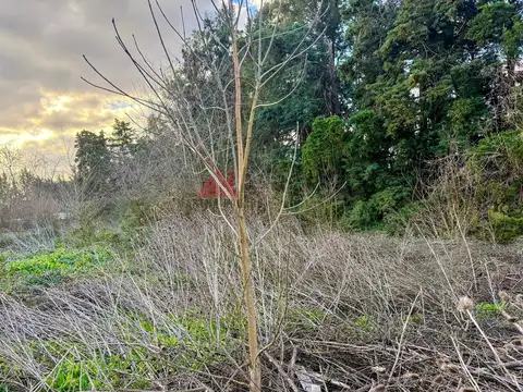 El Remanso
