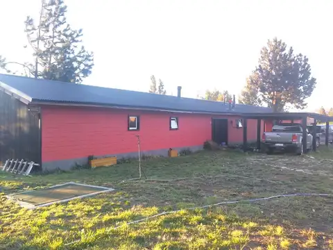 GIRASOLES DEL LIMAY 300