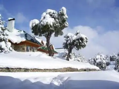 Consultar dirección