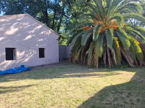 Tomás Nother 2600