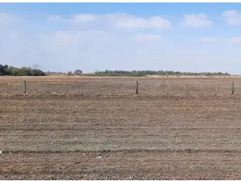 Ruta N°95 Al 100
