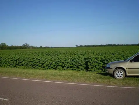 Ruta N°95 Al 100