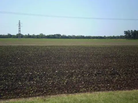 Campo 75Ha. en Venta, Roque Saenz Peña, Chaco, Cod.3005