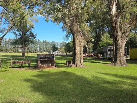 Terreno Campo  en Venta en Los Cardales, Exaltación de la Cruz, G.B.A. Zona Norte