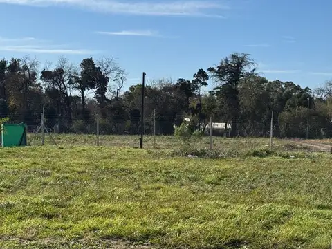 Village Plaza, Bella Vista 100