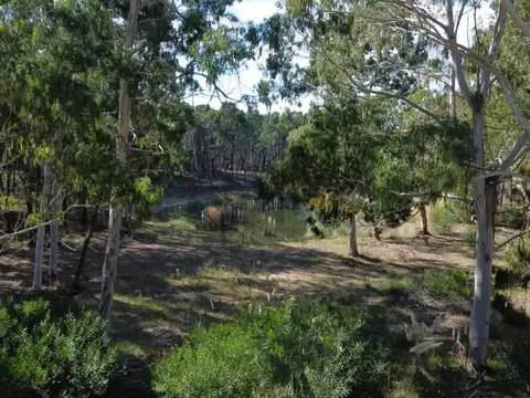 LOTE  A LA VENTA EN VILLAROBLES