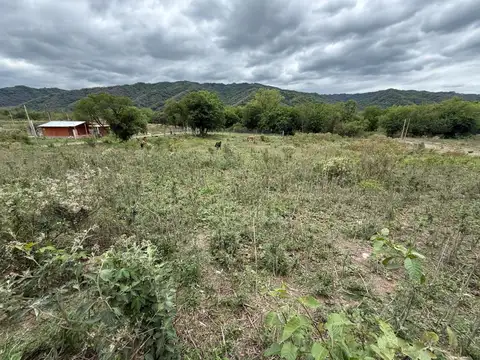 Terreno en Venta 30  mts Fondo