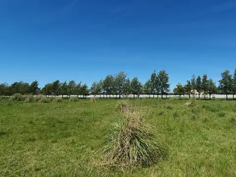 RUTA 205 KM 68