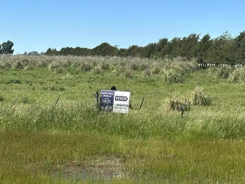 Quinta en Venta en Uribelarrea, USD 102.000