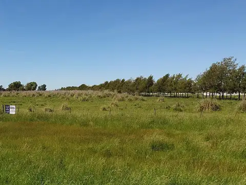 QUINTA CHACRA EN VENTA URIBELARREA 4 HECTAREAS