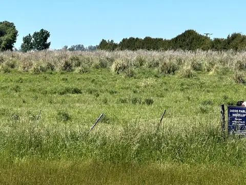 QUINTA CHACRA EN VENTA URIBELARREA 4 HECTAREAS