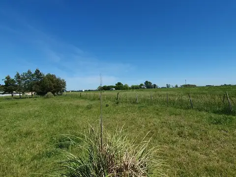 QUINTA CHACRA EN VENTA URIBELARREA 4 HECTAREAS