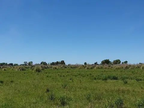 QUINTA CHACRA EN VENTA URIBELARREA 4 HECTAREAS
