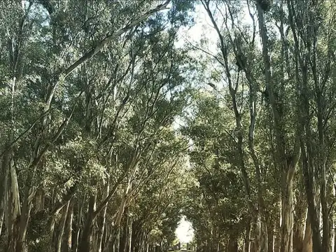 Venta terreno en Villa María