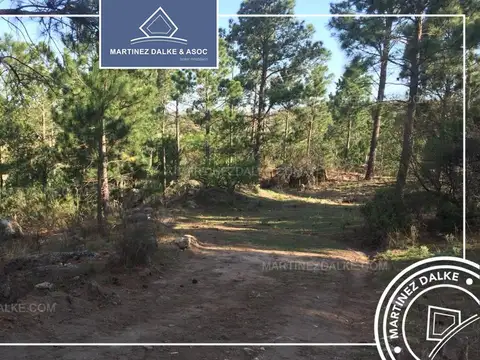 Terreno en Venta de 17180,0 m2