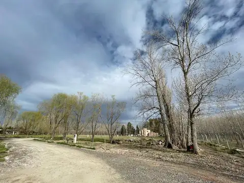 Terreno en Venta en General Roca, USD 30.400