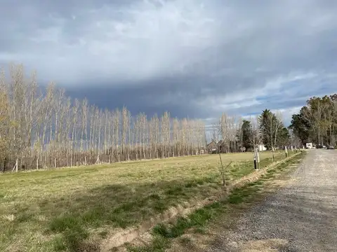 Terreno en Venta de 919,0 m2