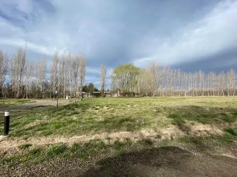 Terreno en Venta en General Roca, USD 37.500
