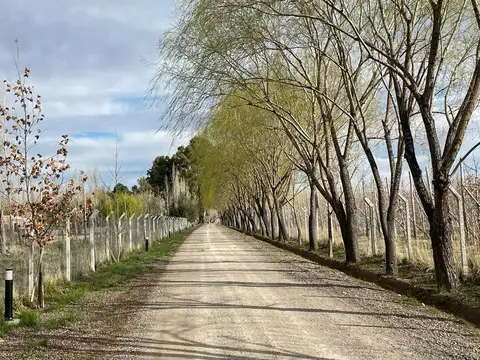 Damas Patricias y Ruta 22, barrio Las Patricias, General Roca