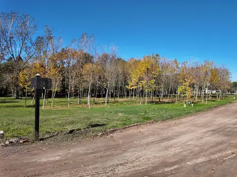 Terreno en Venta 15  mts Fondo