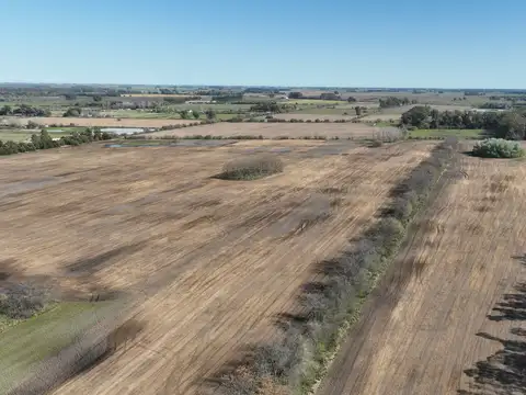 Campo en Venta de 72  ha