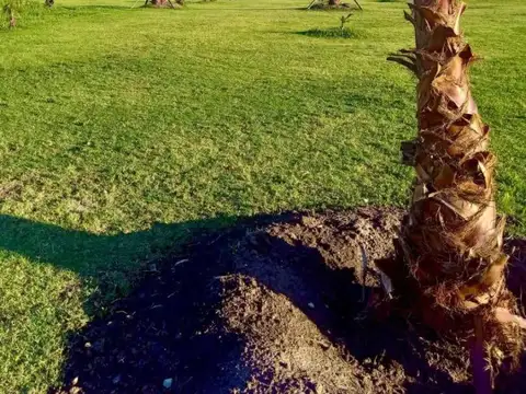 Terreno en Venta de 15000,0 m2