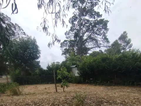 Terreno en Venta de 230,0 m2