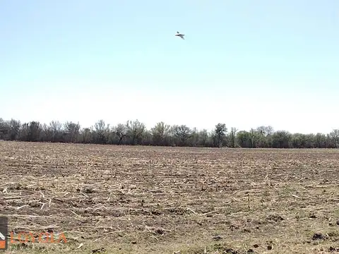 171 Hectáreas con vivienda en venta en La Lomita, San Luis