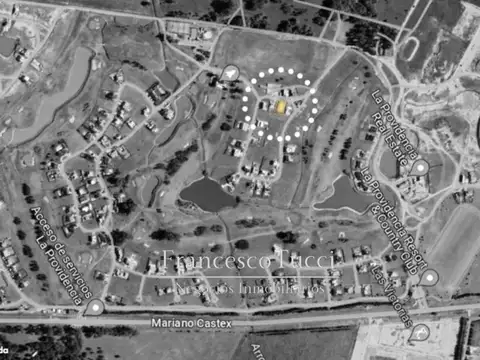 Mariano Castex Lote / N° 0