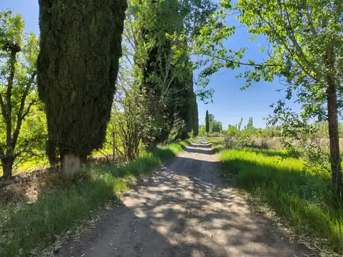 Chacra en Contralmirante M Guerrico