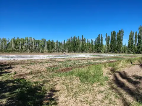 Terreno en Venta de 50000,0 m2