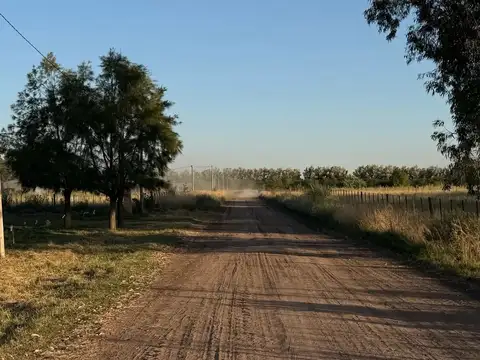 Terreno en Venta en Zapiola, USD 15.000