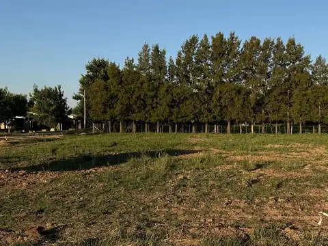 Terreno en Venta de 525,0 m2