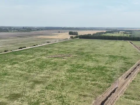 Campo en Venta de 6  ha