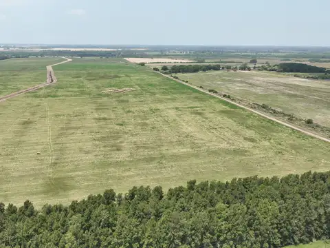 Campo en Venta de 6  ha