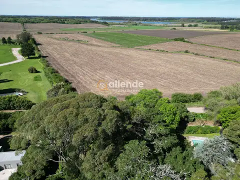 Terreno en Venta 40  mts Fondo