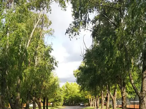 Terreno en Venta 60  mts Fondo