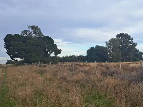 Terreno en Venta de 132995,0 m2