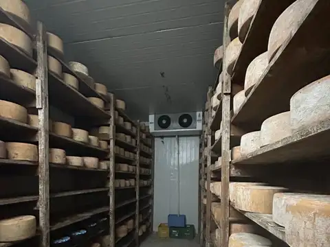 Fondo Comercio en Venta en Malvin, USD 180.000