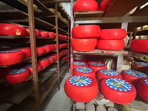 Fondo Comercio en Venta en Malvin, USD 180.000