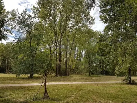 LOS PINOS II - RUTA 8 KM 71 .