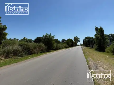 Campo en Venta Forestal